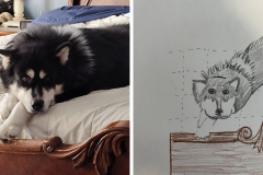 Poorly Drawn Pets-Website Template - 1
