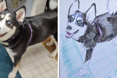 Poorly Drawn Pets-Website Template - 1