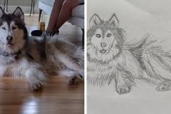 Poorly Drawn Pets-Website Template - 1