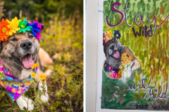 Poorly Drawn Pets-Website Template - 1