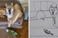 Poorly Drawn Pets-Website Template - 1
