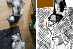 Poorly Drawn Pets-Website Template - 1