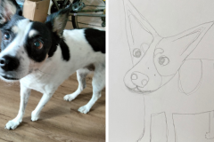 Poorly Drawn Pets-Website Template - 1