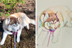 Poorly Drawn Pets-Website Template - 1