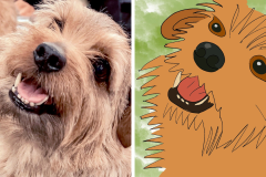 Poorly Drawn Pets-Website Template - 1