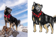 Poorly Drawn Pets-Website Template - 1