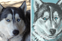 Poorly Drawn Pets-Website Template - 1