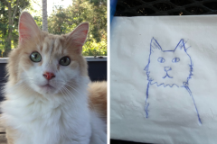 Poorly Drawn Pets-Website Template - 1