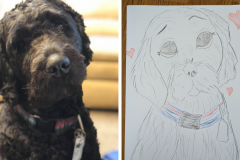 Poorly Drawn Pets-Website Template - 1