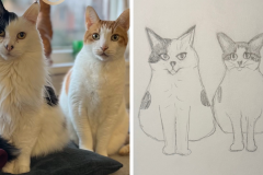 Poorly Drawn Pets-Website Template - 1