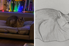 Poorly Drawn Pets-Website Template - 1