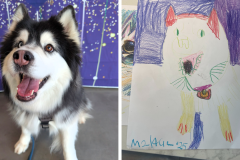Poorly Drawn Pets-Website Template - 1