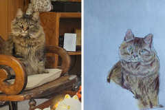 Poorly Drawn Pets-Website Template - 1