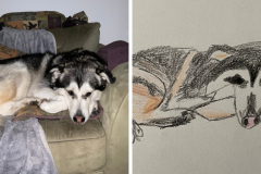 Poorly Drawn Pets-Website Template - 1
