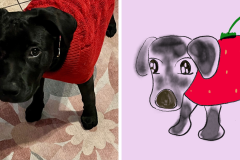 Poorly Drawn Pets-Website Template - 1
