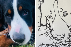 Poorly Drawn Pets-Website Template - 1