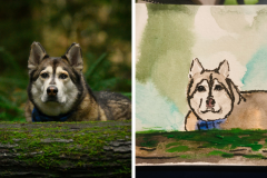Poorly Drawn Pets-Website Template - 1