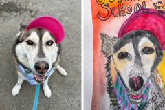 Poorly Drawn Pets-Website Template - 1