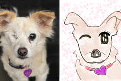 Poorly Drawn Pets-Website Template - 1