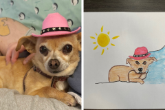 Poorly Drawn Pets-Website Template - 1