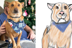 Poorly Drawn Pets-Website Template - 1