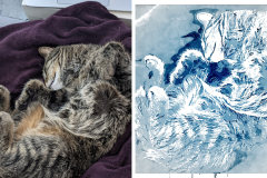Poorly Drawn Pets-Website Template - 1