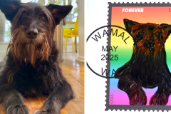 Poorly Drawn Pets-Website Template - 1