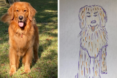 Poorly Drawn Pets-Website Template - 1