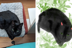 Poorly Drawn Pets-Website Template - 1