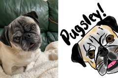 Poorly Drawn Pets-Website Template - 1
