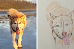 Poorly Drawn Pets-Website Template - 1