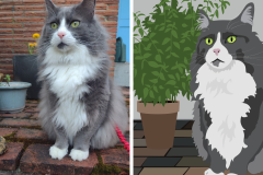 Poorly Drawn Pets-Website Template - 1