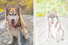 Poorly Drawn Pets-Website Template - 1