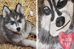 Poorly Drawn Pets-Website Template - 1