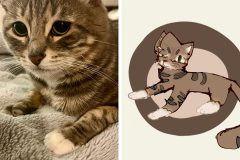 Poorly Drawn Pets-Website Template - 1