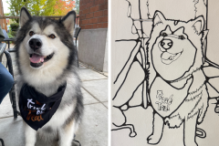 Poorly Drawn Pets-Website Template - 1
