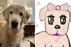 Poorly Drawn Pets-Website Template - 1