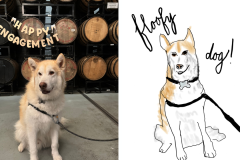 Poorly Drawn Pets-Website Template - 1