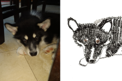 Poorly Drawn Pets-Website Template - 1