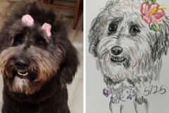 Poorly Drawn Pets-Website Template - 1