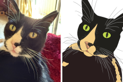 Poorly Drawn Pets-Website Template - 1