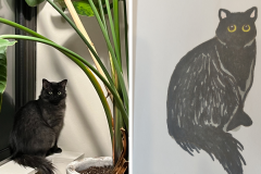 Poorly Drawn Pets-Website Template - 1