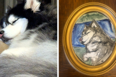 Poorly Drawn Pets-Website Template - 1