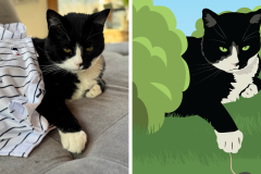 Poorly Drawn Pets-Website Template - 1