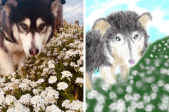 Poorly Drawn Pets-Website Template - 1