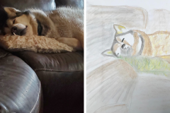 Poorly Drawn Pets-Website Template - 1