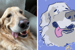 Poorly Drawn Pets-Website Template - 1
