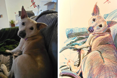 Poorly Drawn Pets-Website Template - 1