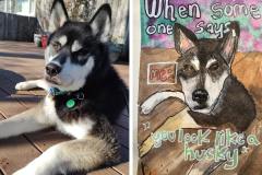 Poorly Drawn Pets-Website Template - 1