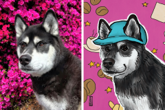 Poorly Drawn Pets-Website Template - 1
